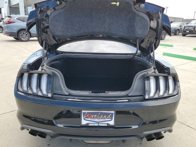 2020 Ford Mustang GT Premium