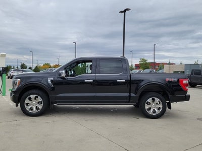 2023 Ford F-150 Platinum