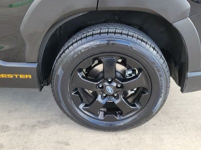 2023 Subaru Forester Wilderness