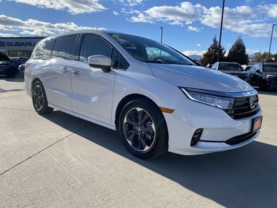 2024 Honda Odyssey Elite